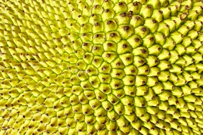 green and yellow fruit close up photo gambia google meet background