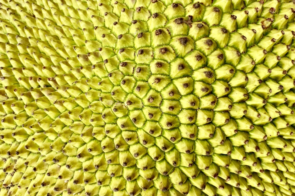 fruits verts et jaunes en gros plan photo