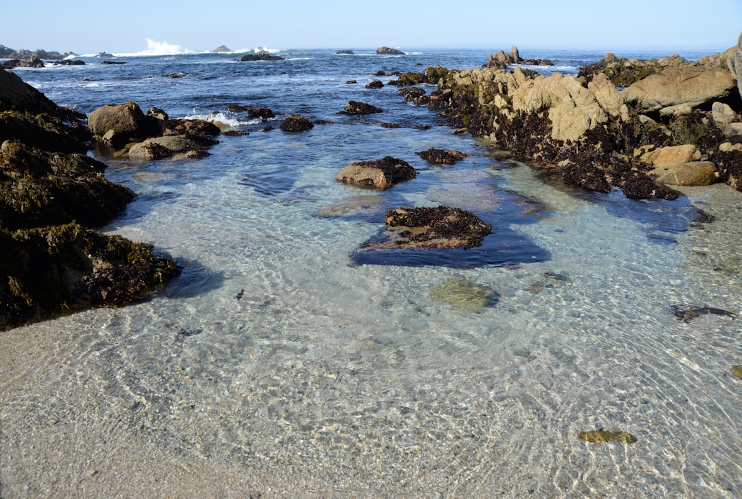 brown rocks on body of water during daytime