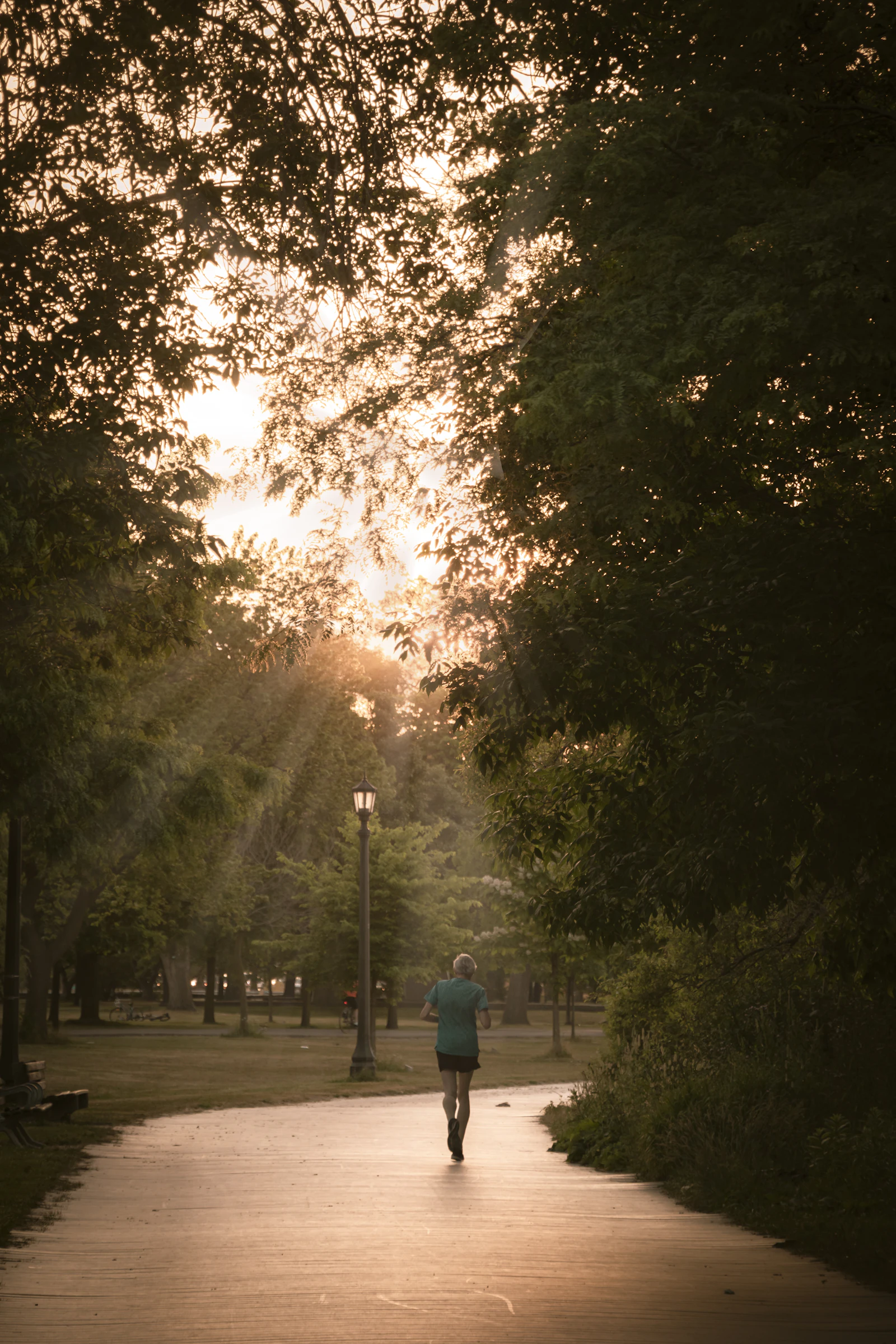 A person in a blue jacket walking on a path between trees