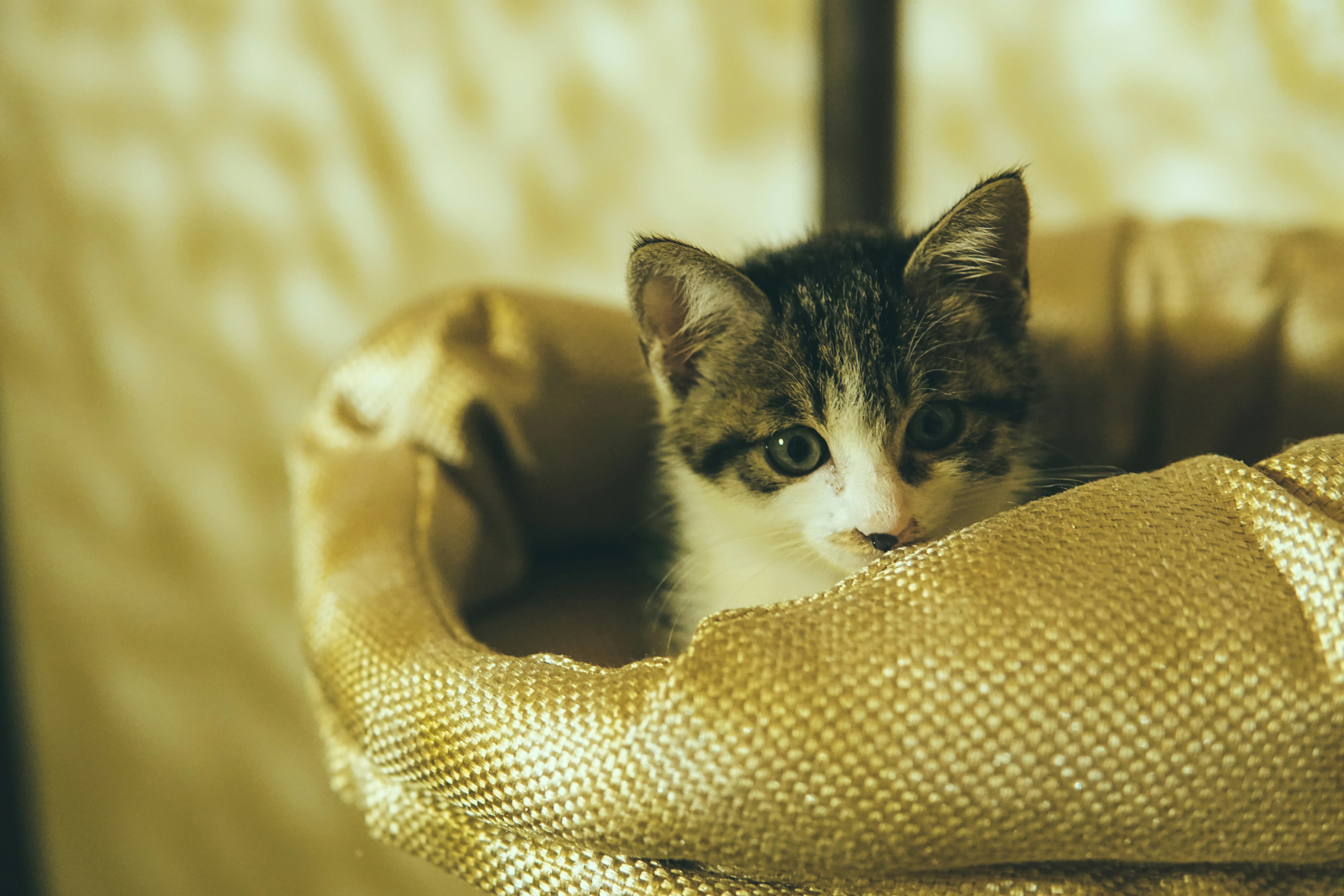 Photo by cosmonaut647