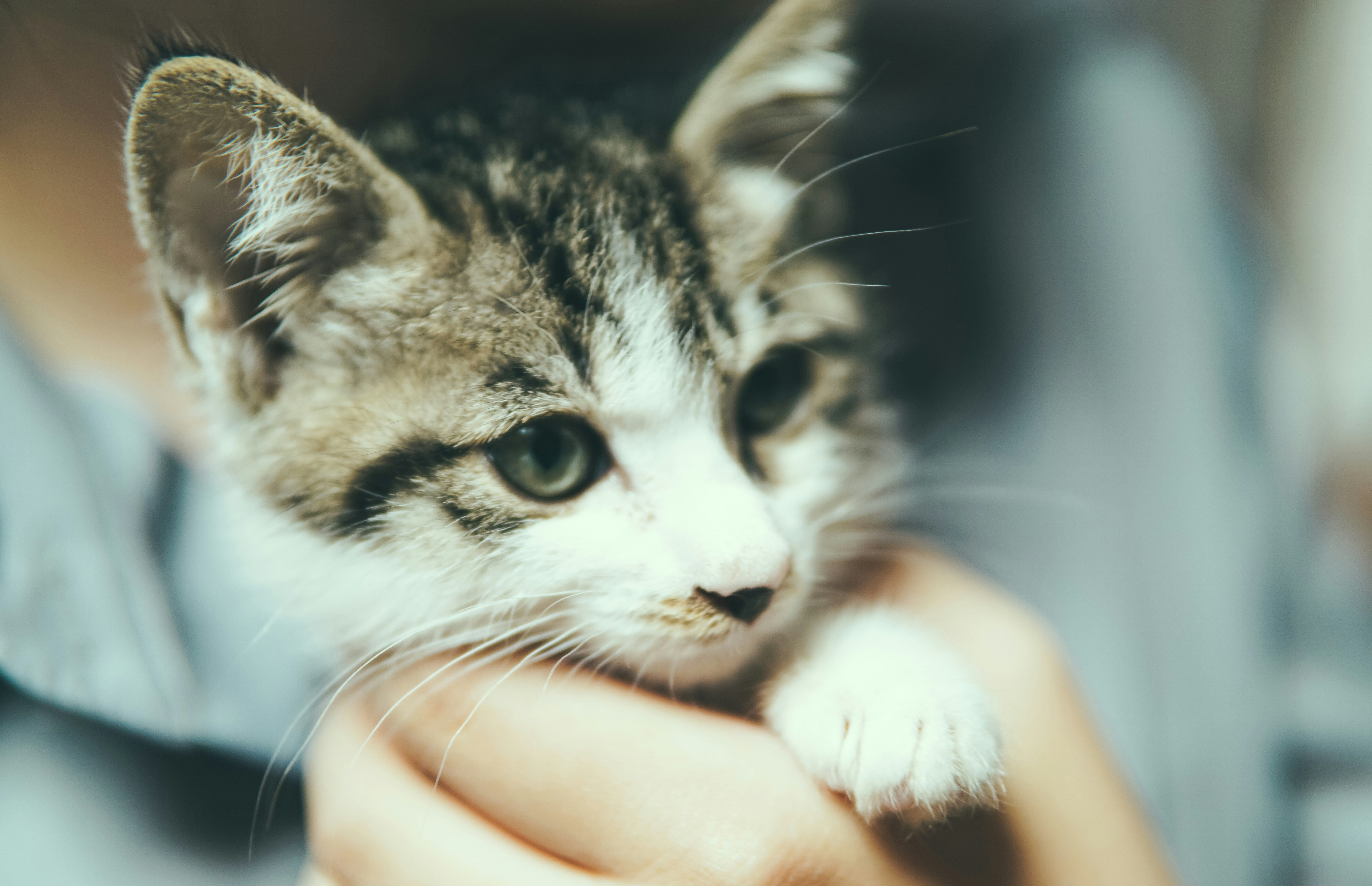 Photo by cosmonaut647