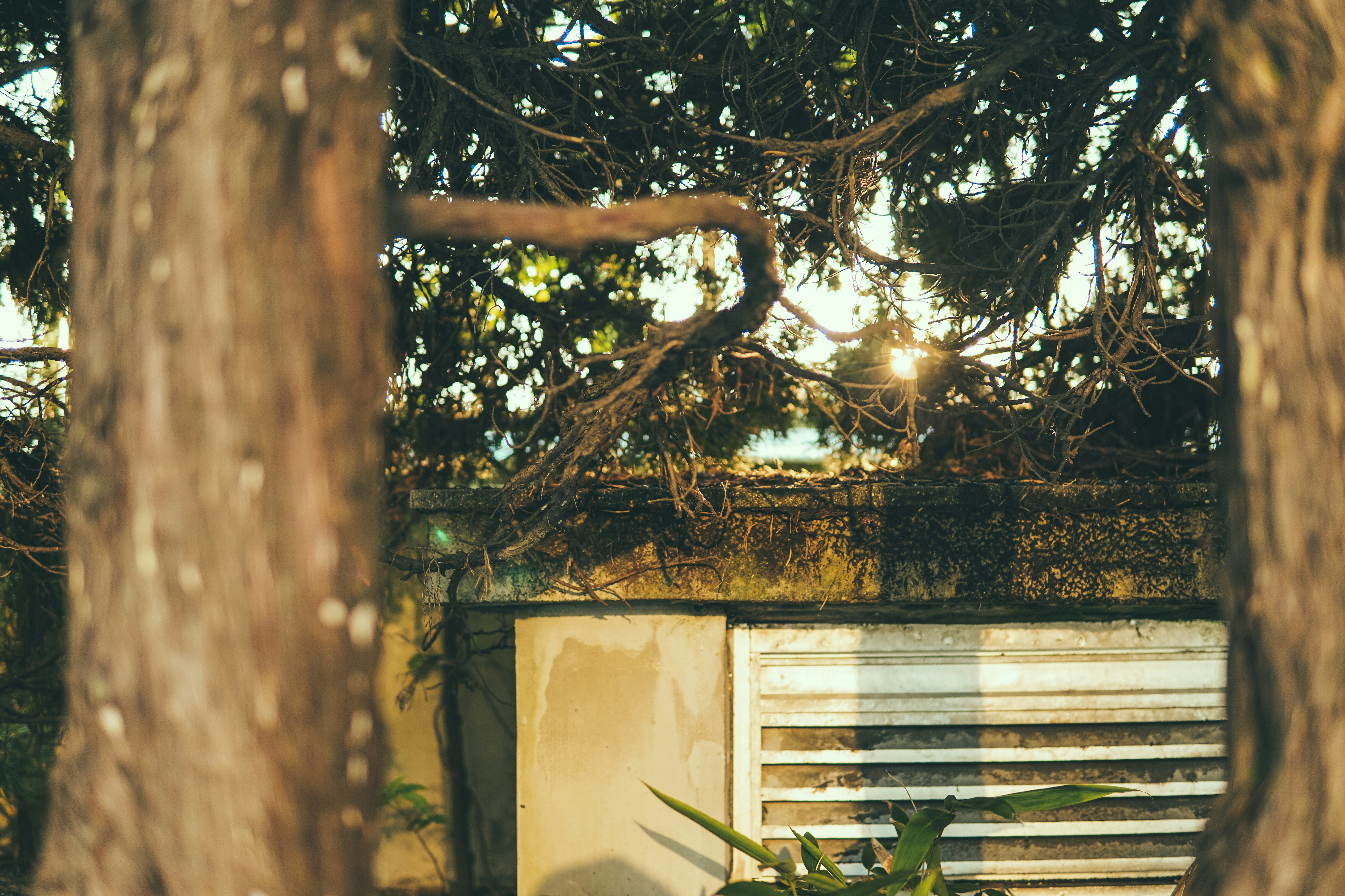 Photo by cosmonaut647