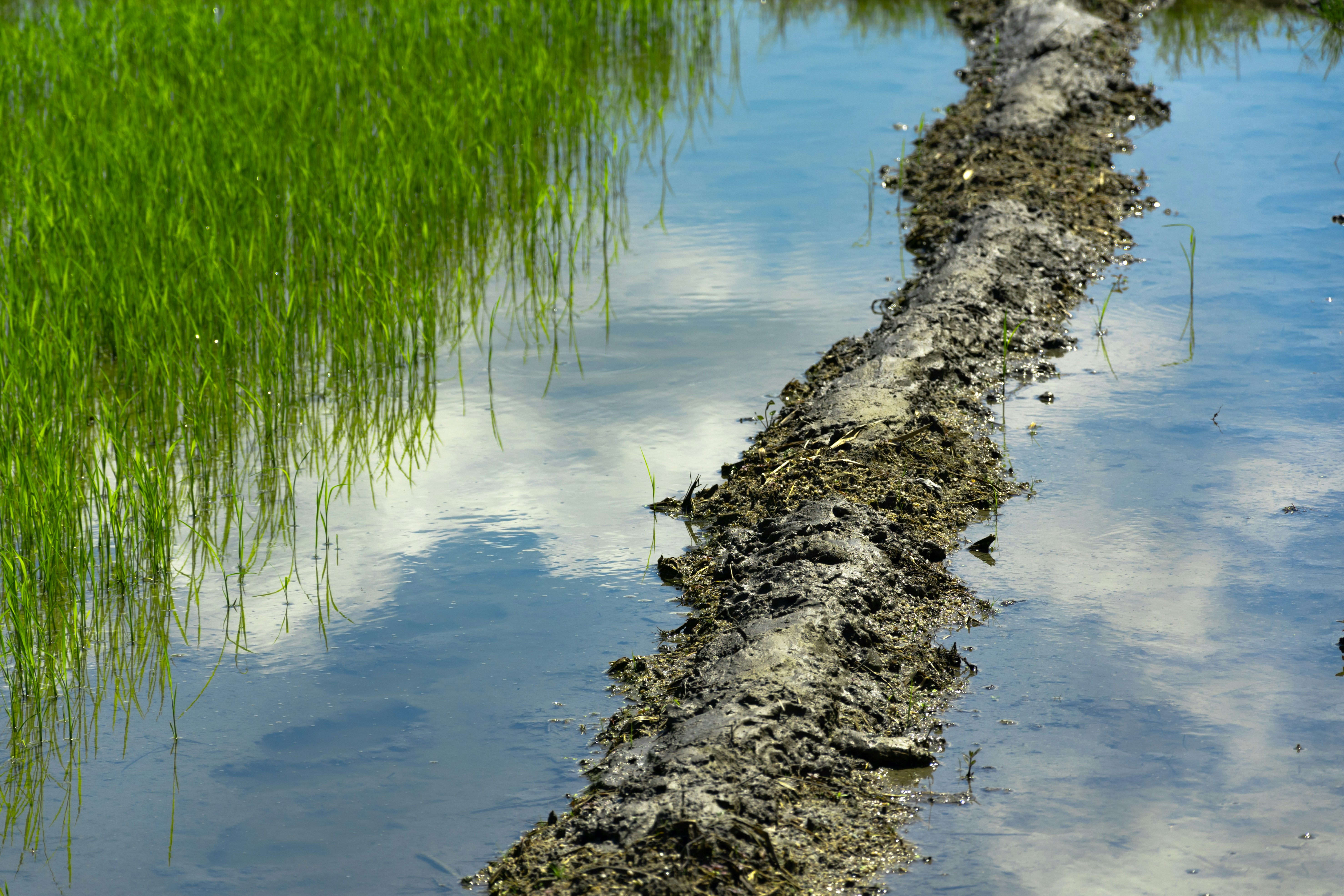 地熱発電の許可申請とは？温泉法・環境アセスメント手続き関連画像