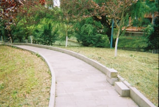 green grass field near trees during daytime
