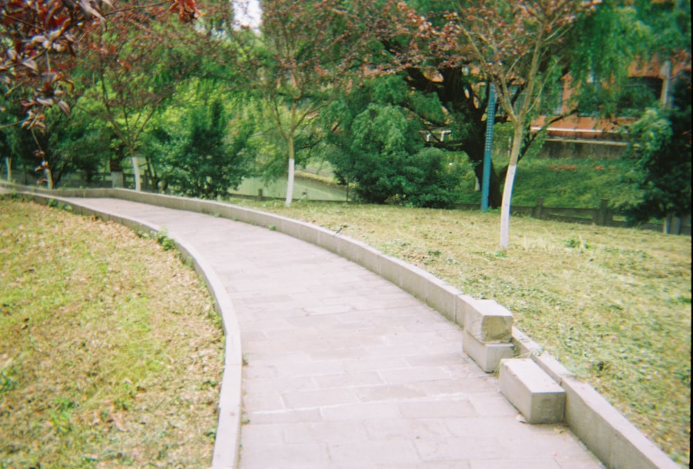 green grass field near trees during daytime