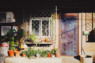A small urban courtyard with a variety of potted plants placed on a ledge in front of a window. The building exterior features a brick wall with an air conditioning unit above the plants. A wooden door with a metal frame is on the right side. Sunlight creates distinct shadows, adding a warm and inviting atmosphere.
