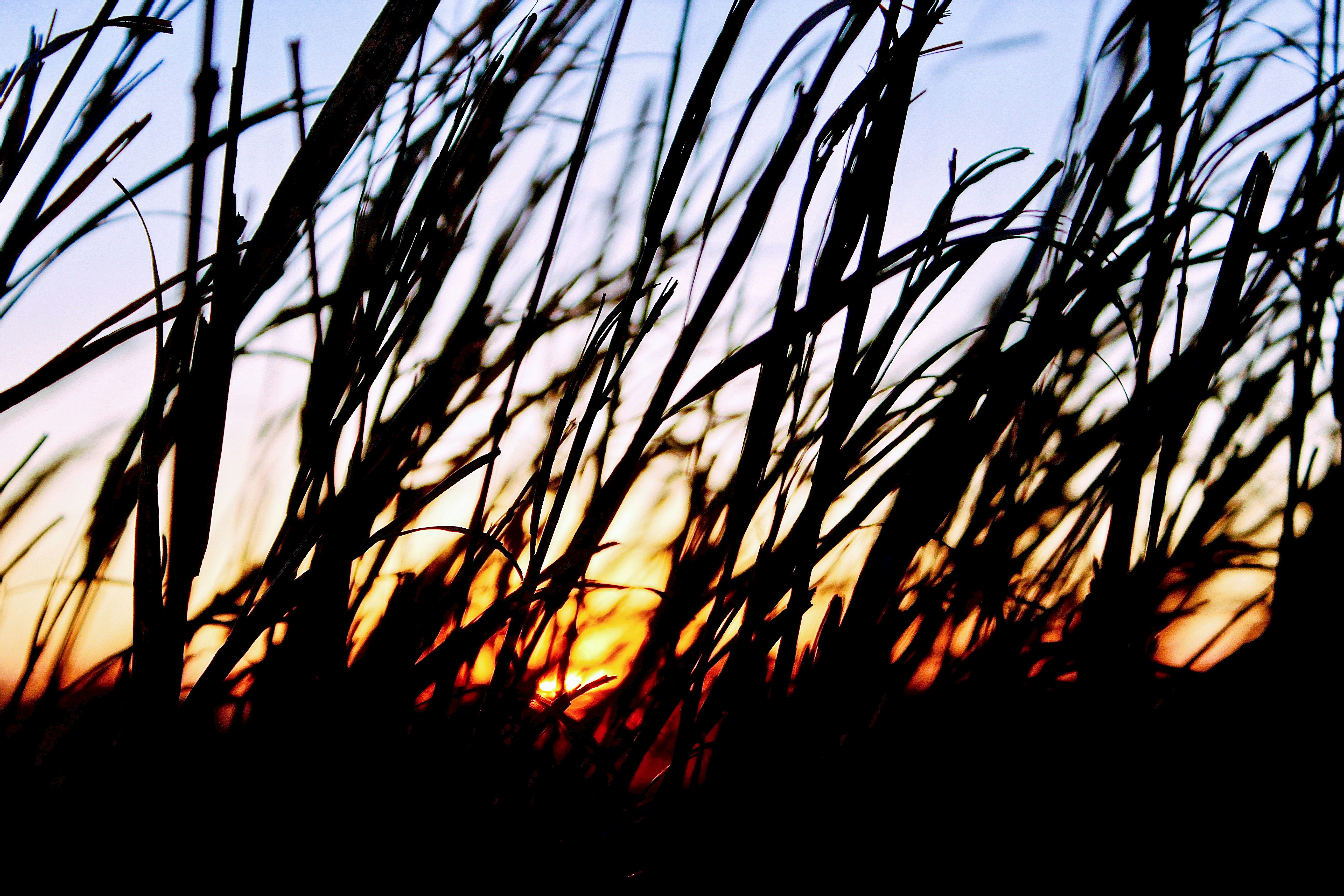 Photo by srmckellar