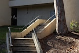 A set of outdoor concrete stairs with metal railings leads up to a closed door on a building facade. The stairs are surrounded by a tree, some grass, and dry leaves scattered on the ground. The lighting creates soft shadows, highlighting the texture of the tree bark and the wall.