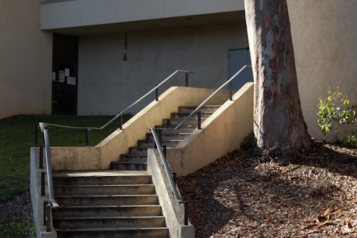 A set of outdoor concrete stairs with metal railings leads up to a closed door on a building facade. The stairs are surrounded by a tree, some grass, and dry leaves scattered on the ground. The lighting creates soft shadows, highlighting the texture of the tree bark and the wall.
