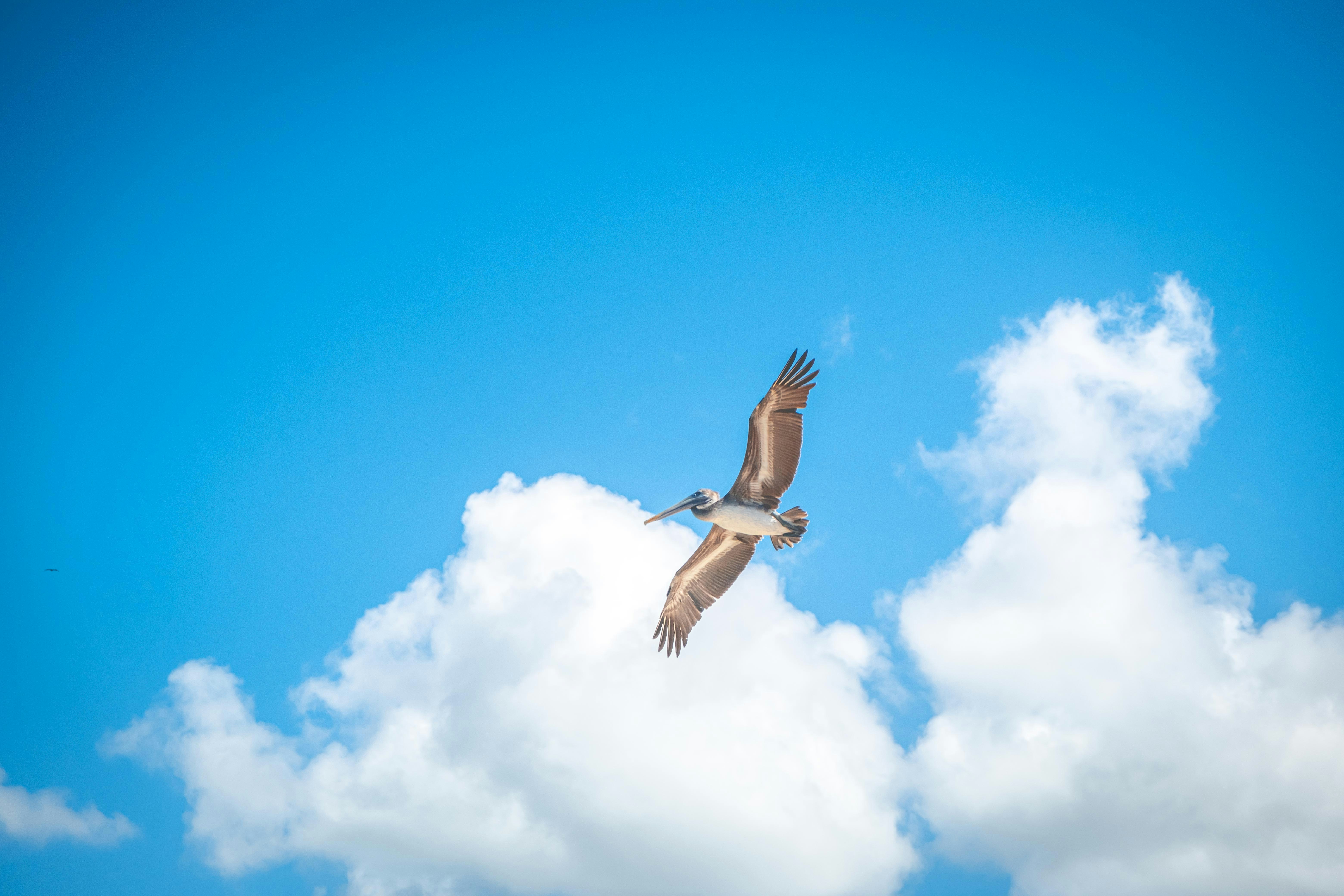 Photo by wenhao_ruan