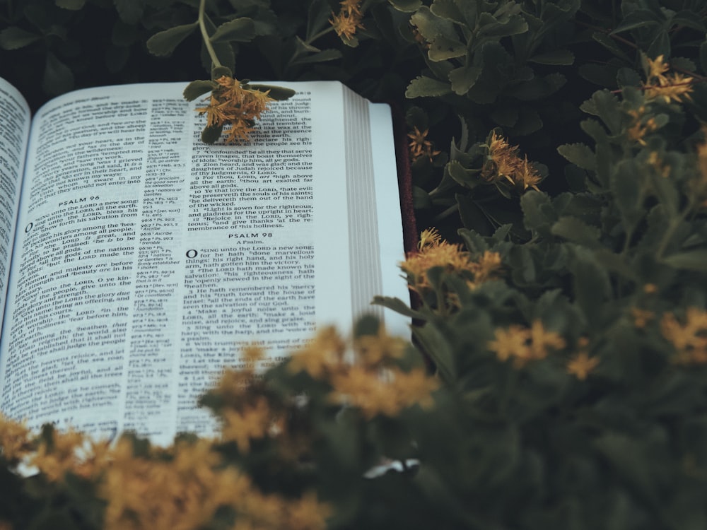 weiße Buchseite mit gelben Blumen