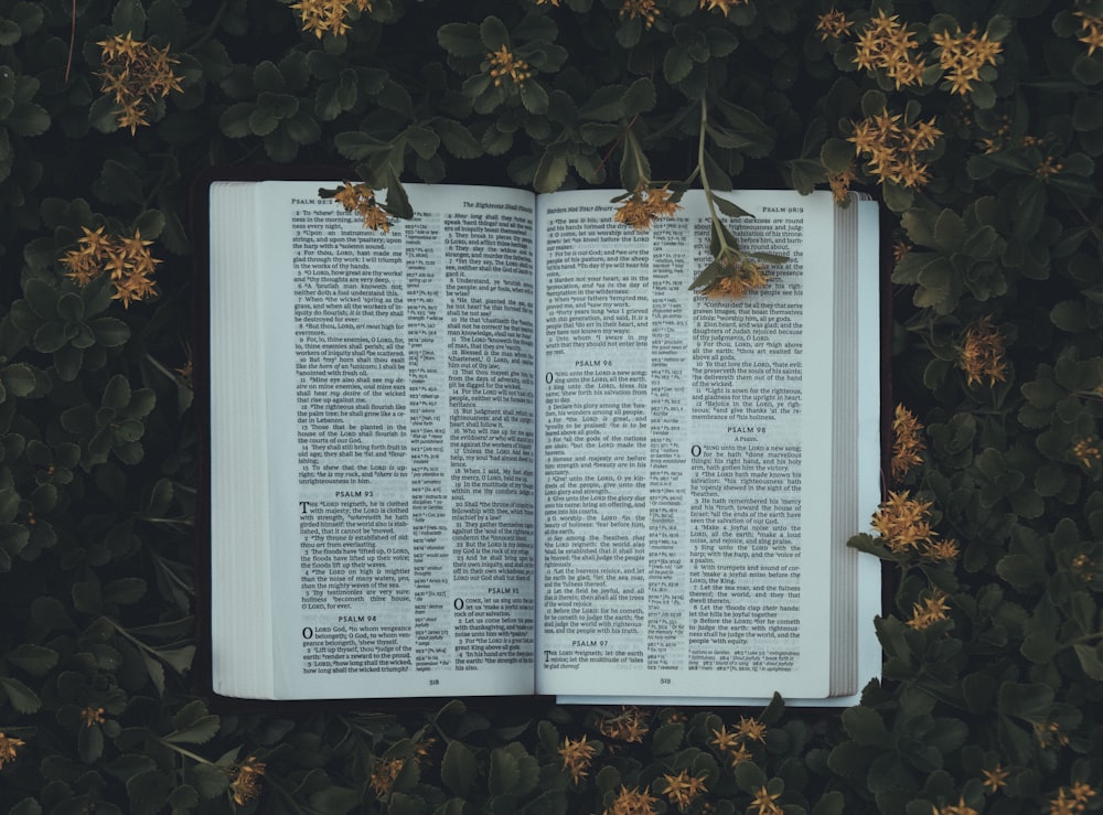 white book page on yellow flowers