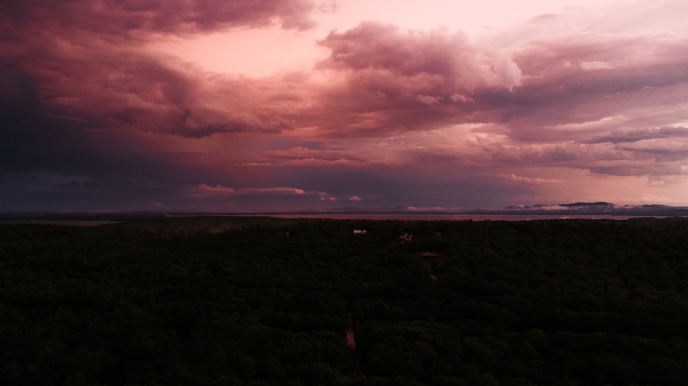 silhueta de árvores sob o céu nublado durante o pôr do sol