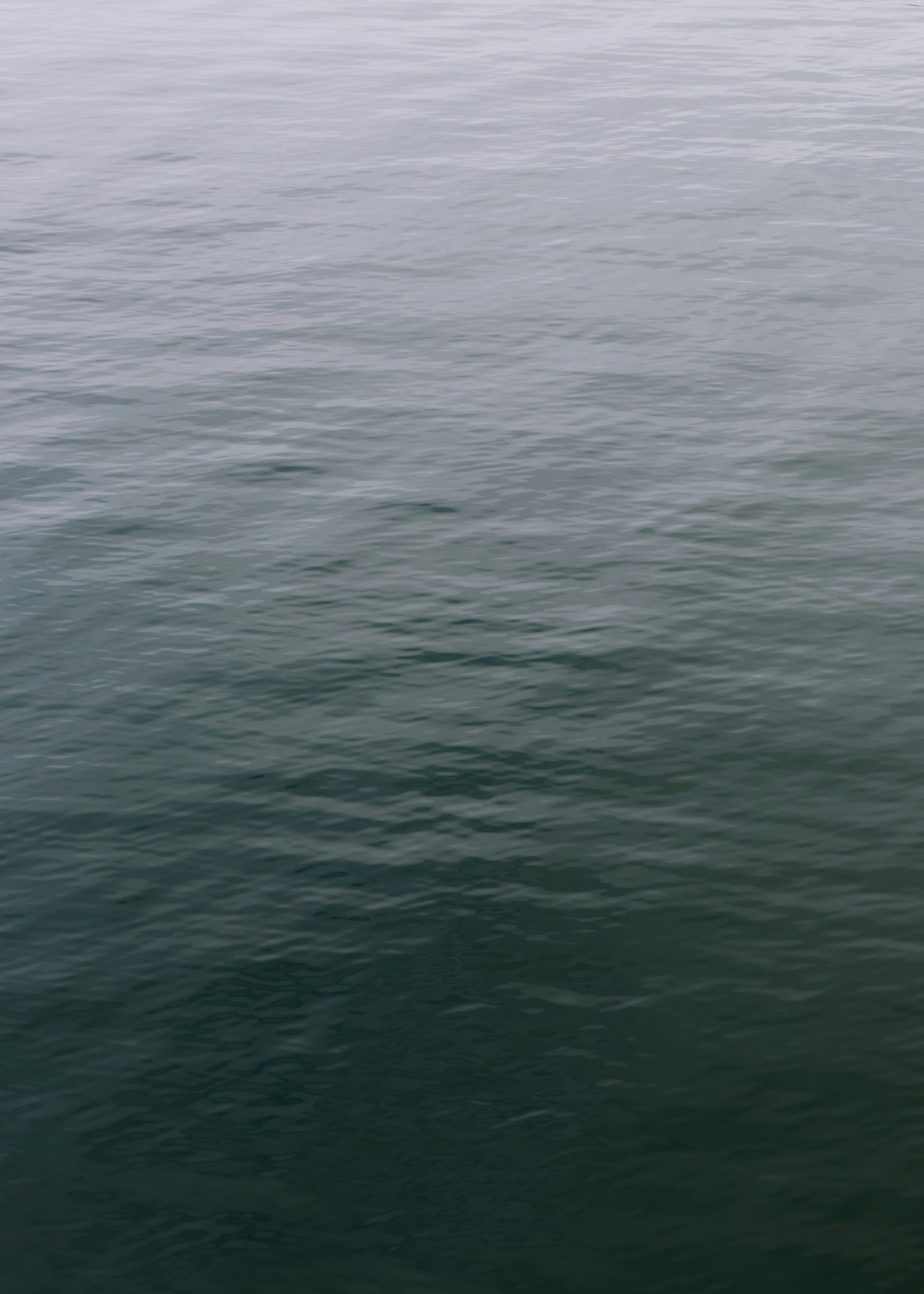 Photo by greg_rosenke