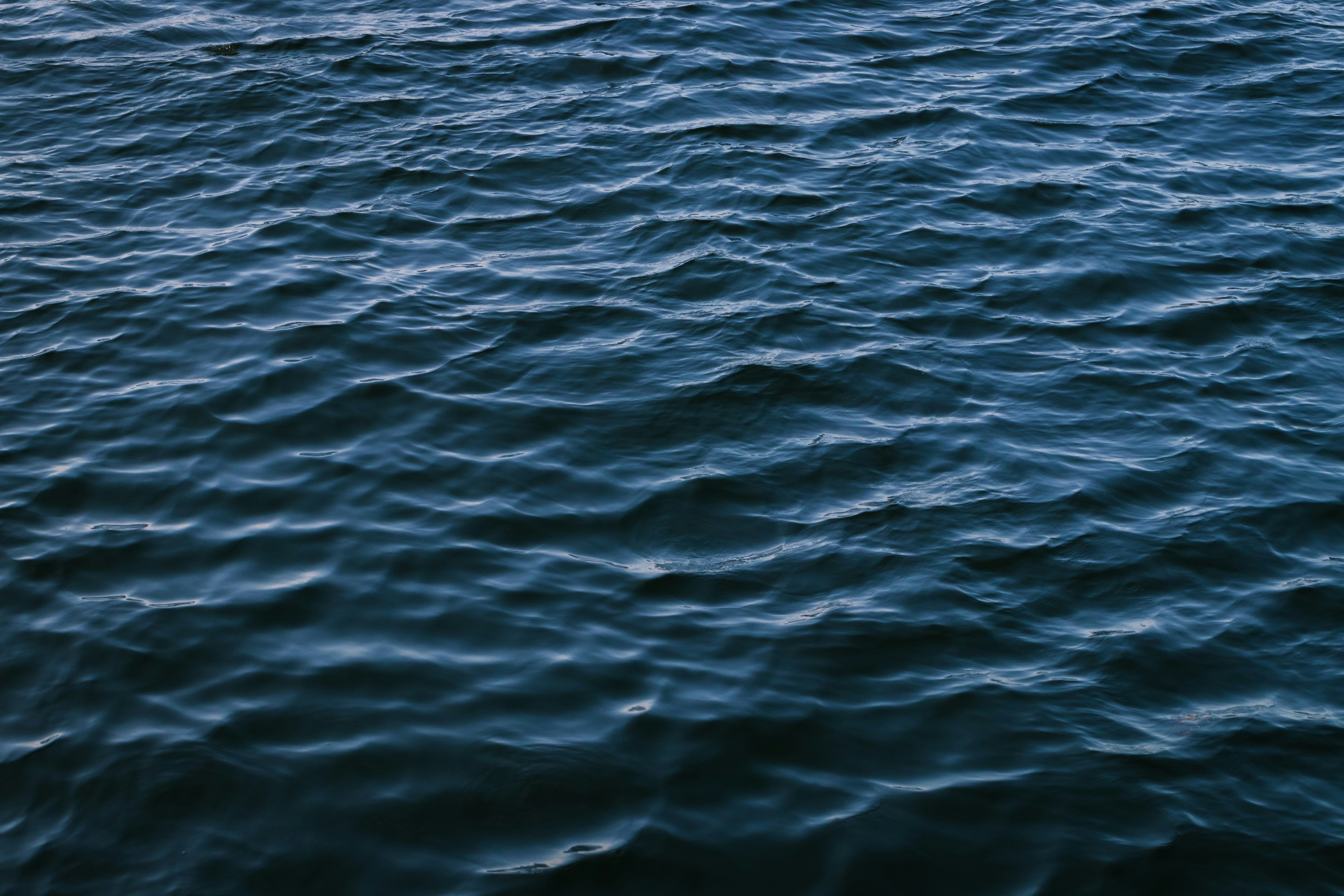 The Role of Water in Cosmic Synthesis (image credits: unsplash)