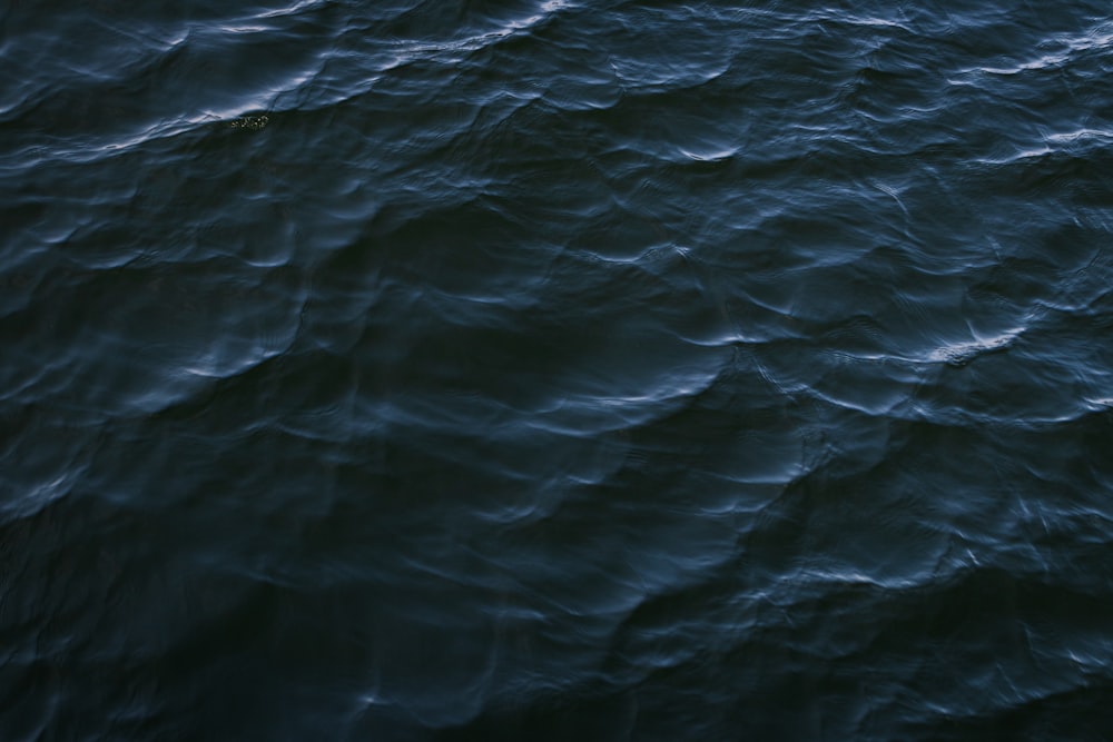 close up photo of body of water