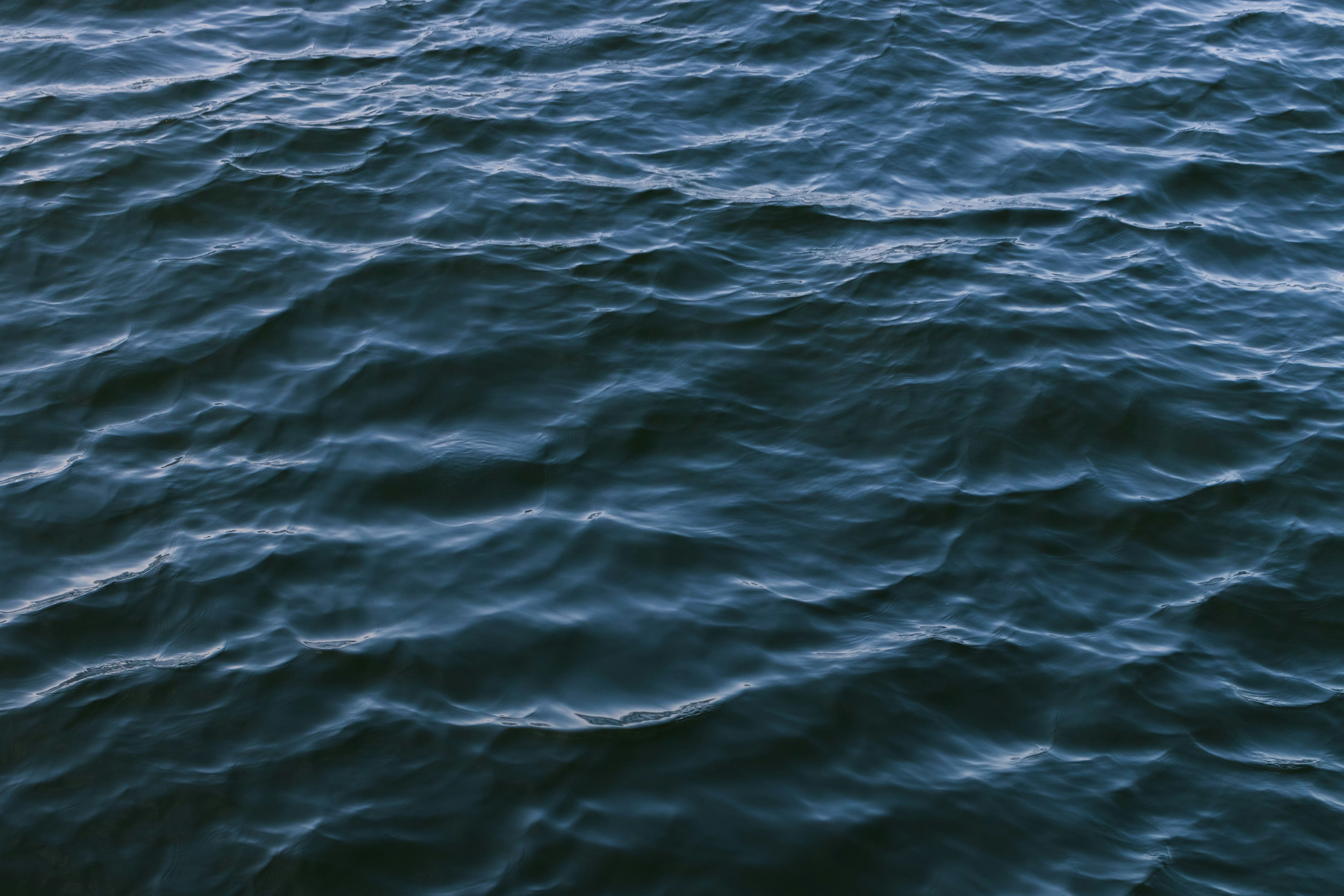 photo-1594267238512-d6d02583c5ea?ixid=M3wxMjA3fDB8MXxzZWFyY2h8NDB8fFdoYXQlMjBpcyUyMGRlZXAlMjBsaW5raW5nJTNGfGVufDB8fHx8MTczNjI3OTMwM3ww%5Cu0026ixlib=rb-4.0.3