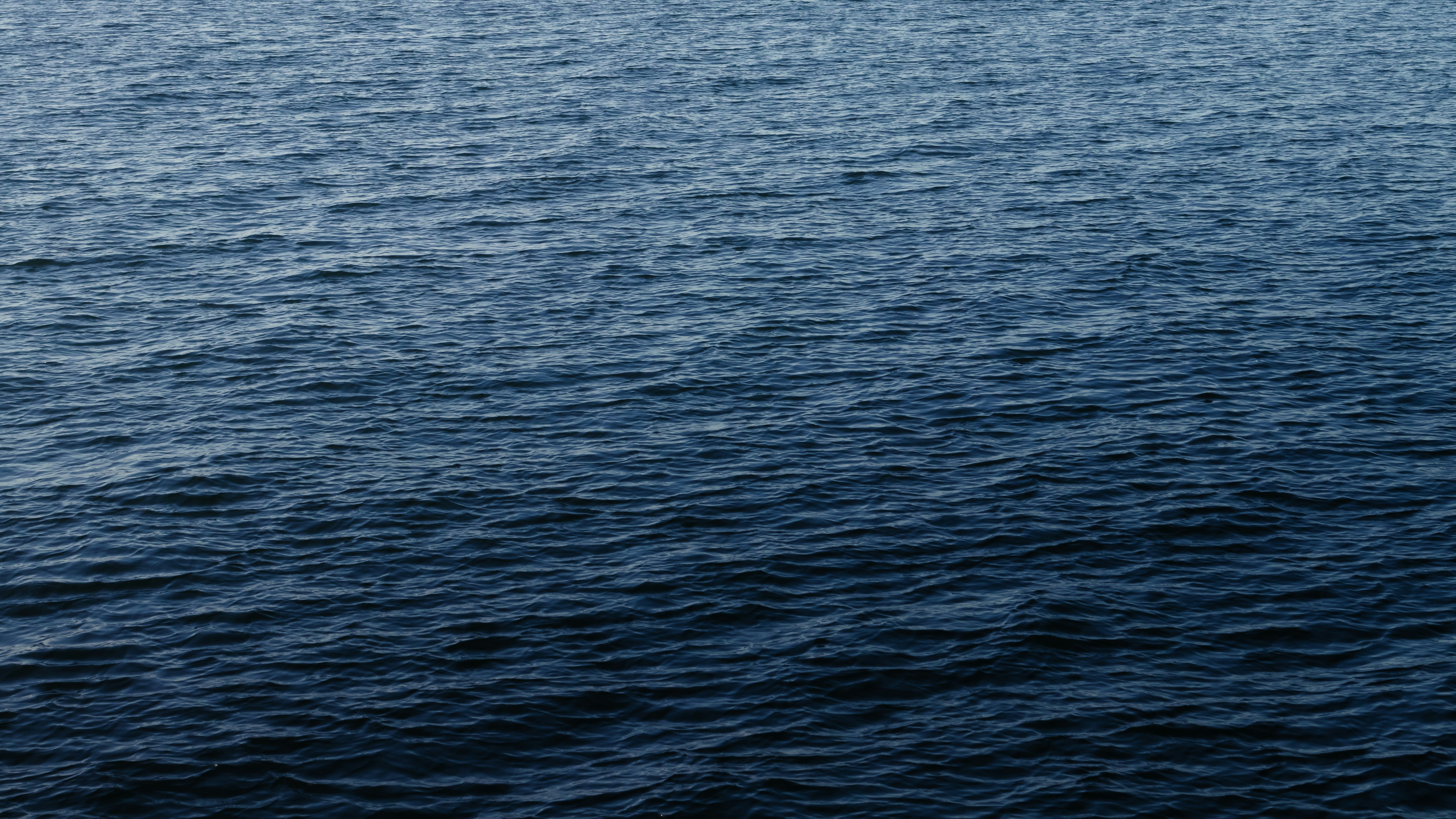 Photo by greg_rosenke