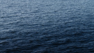 Artistic depiction of a serene brain surrounded by calming blue waves.