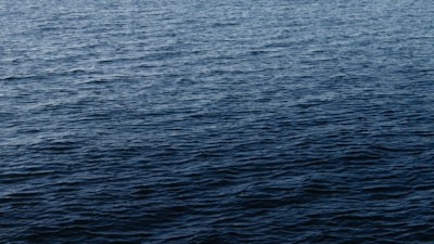 Artistic depiction of a serene brain surrounded by calming blue waves.