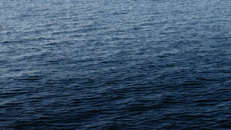 A calm blue ocean with a subtle grid overlay symbolizing the interconnectedness of the blue concrete network.