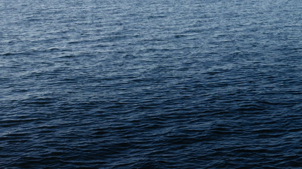 Corporate team photo with a calm blue ocean background symbolizing trust and depth.