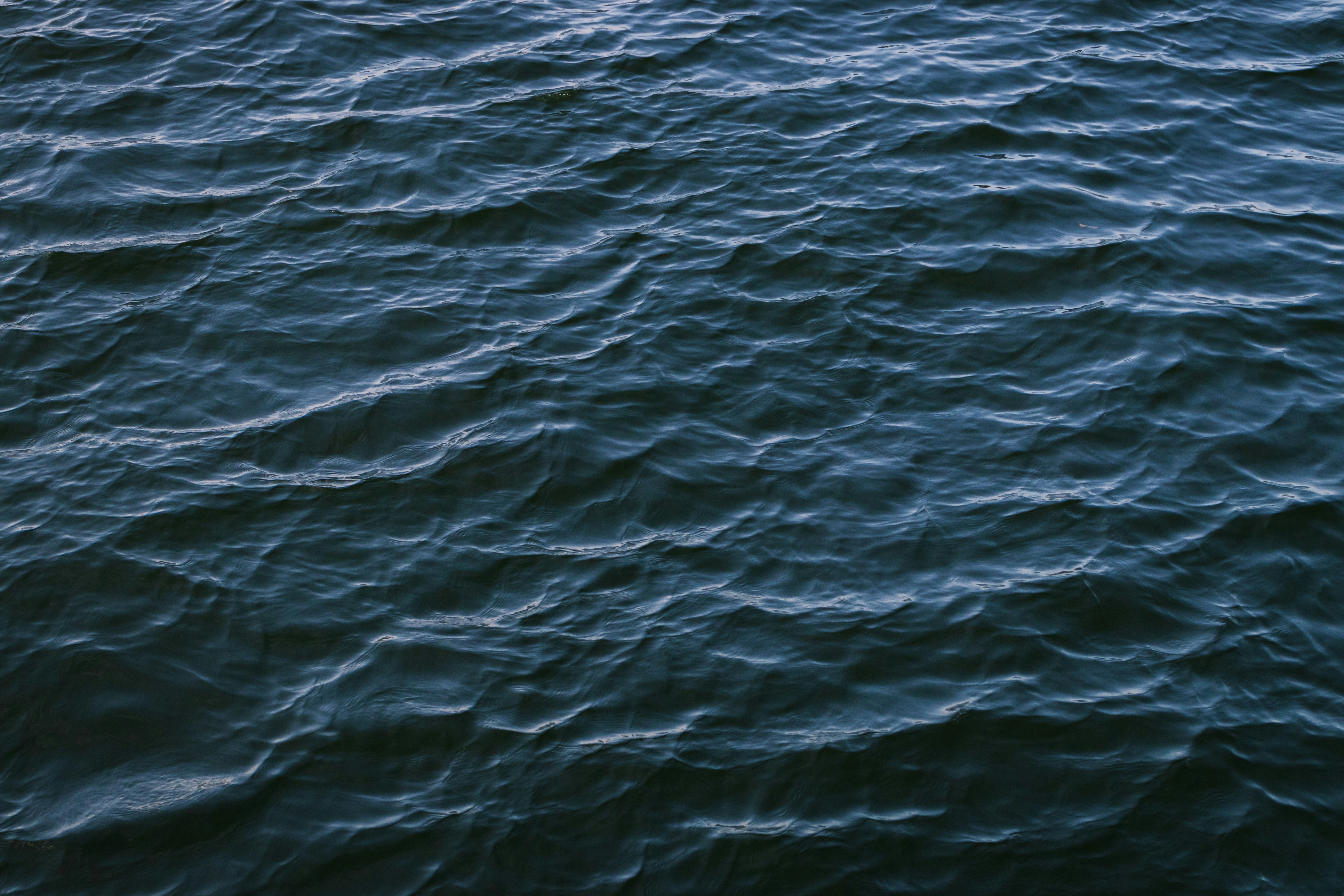 Photo by greg_rosenke