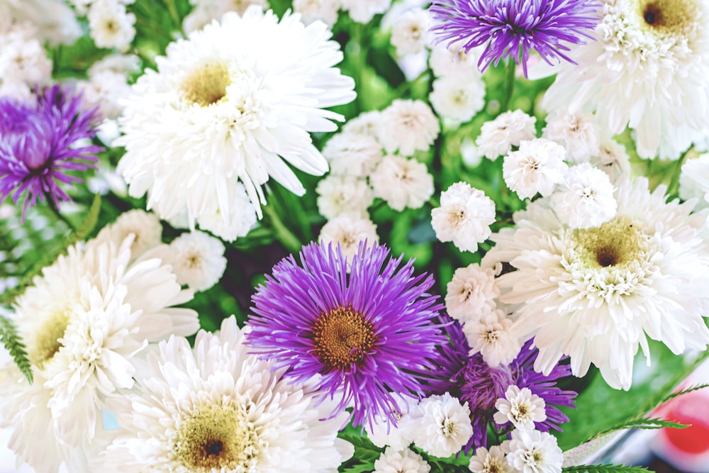 white and purple flowers in tilt shift lens