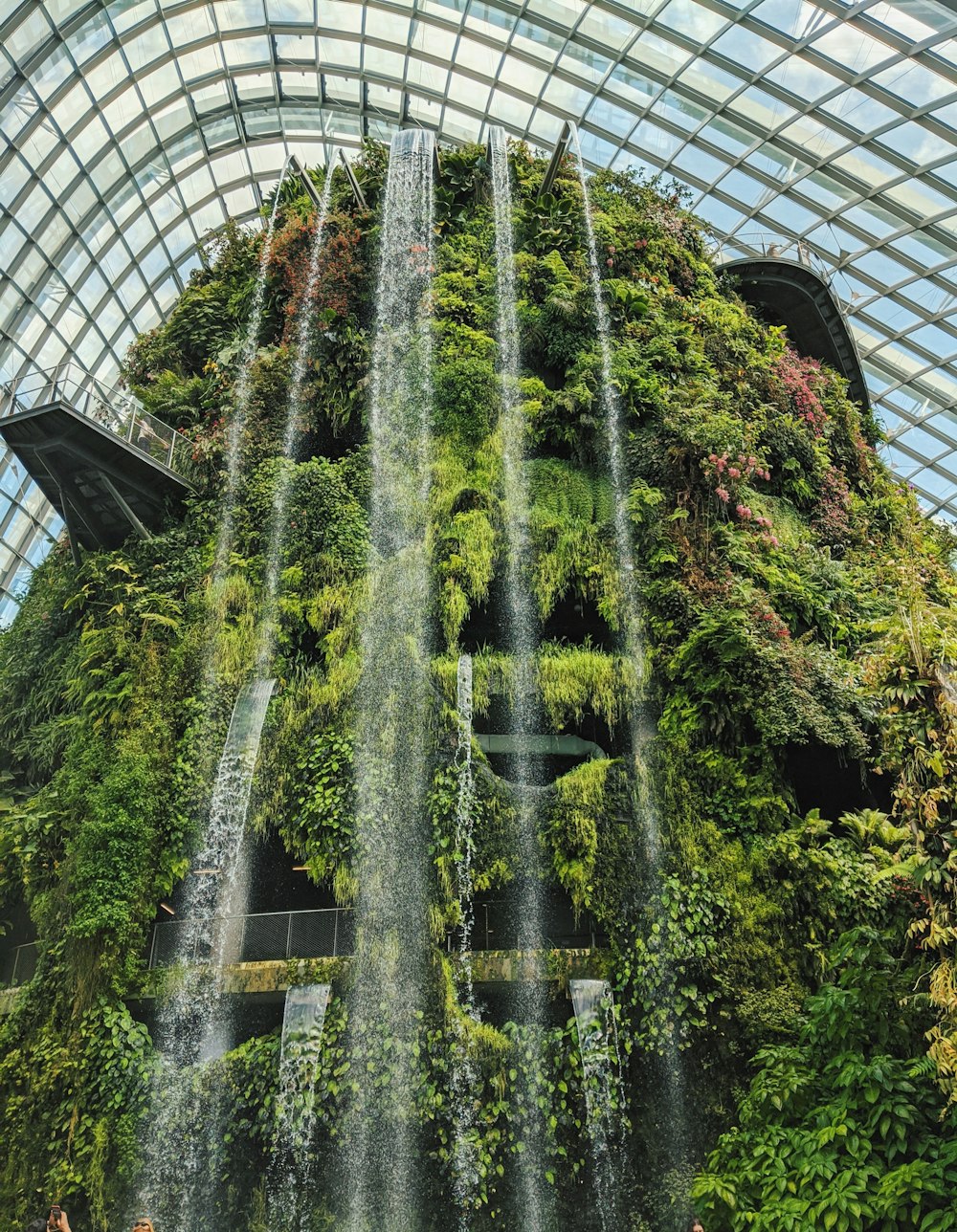 Planta verde en edificio de vidrio