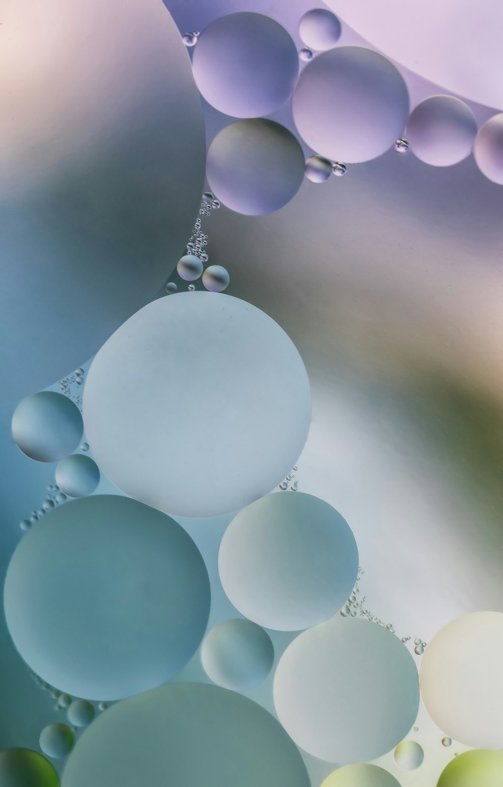 white and brown balloons on green leaves