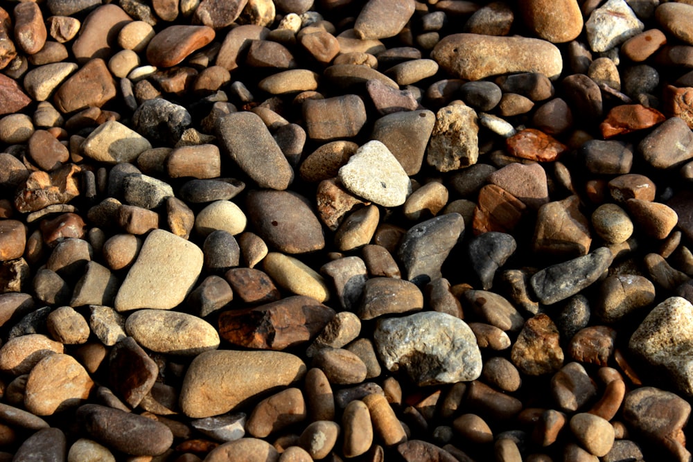 brown and gray stones during daytime