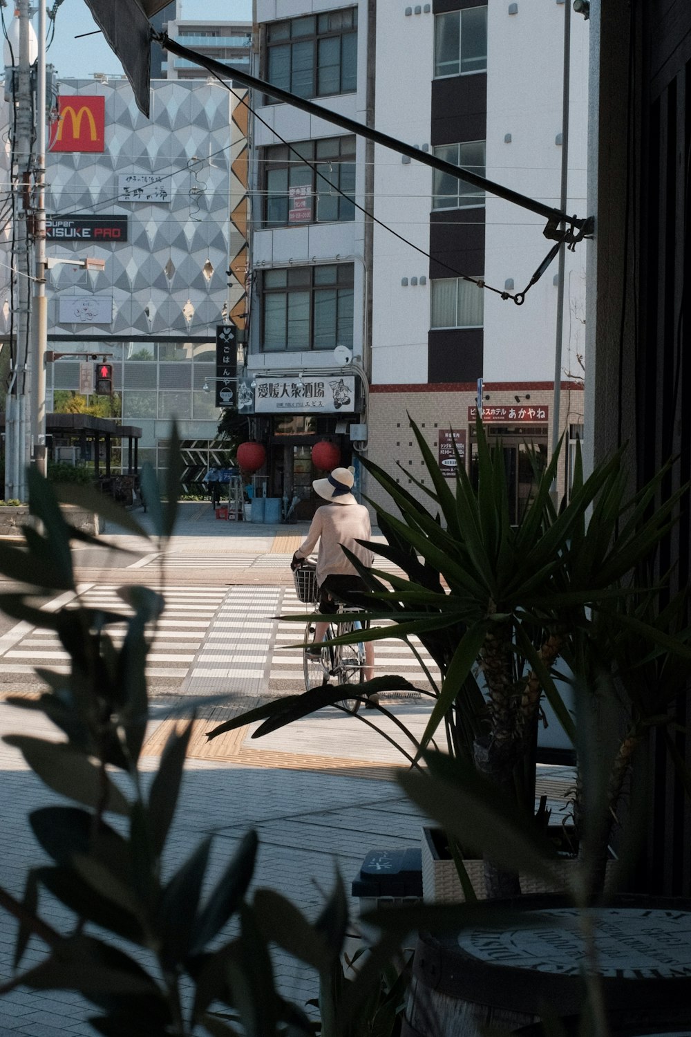 man in white shirt sitting on bench near green plants during daytime