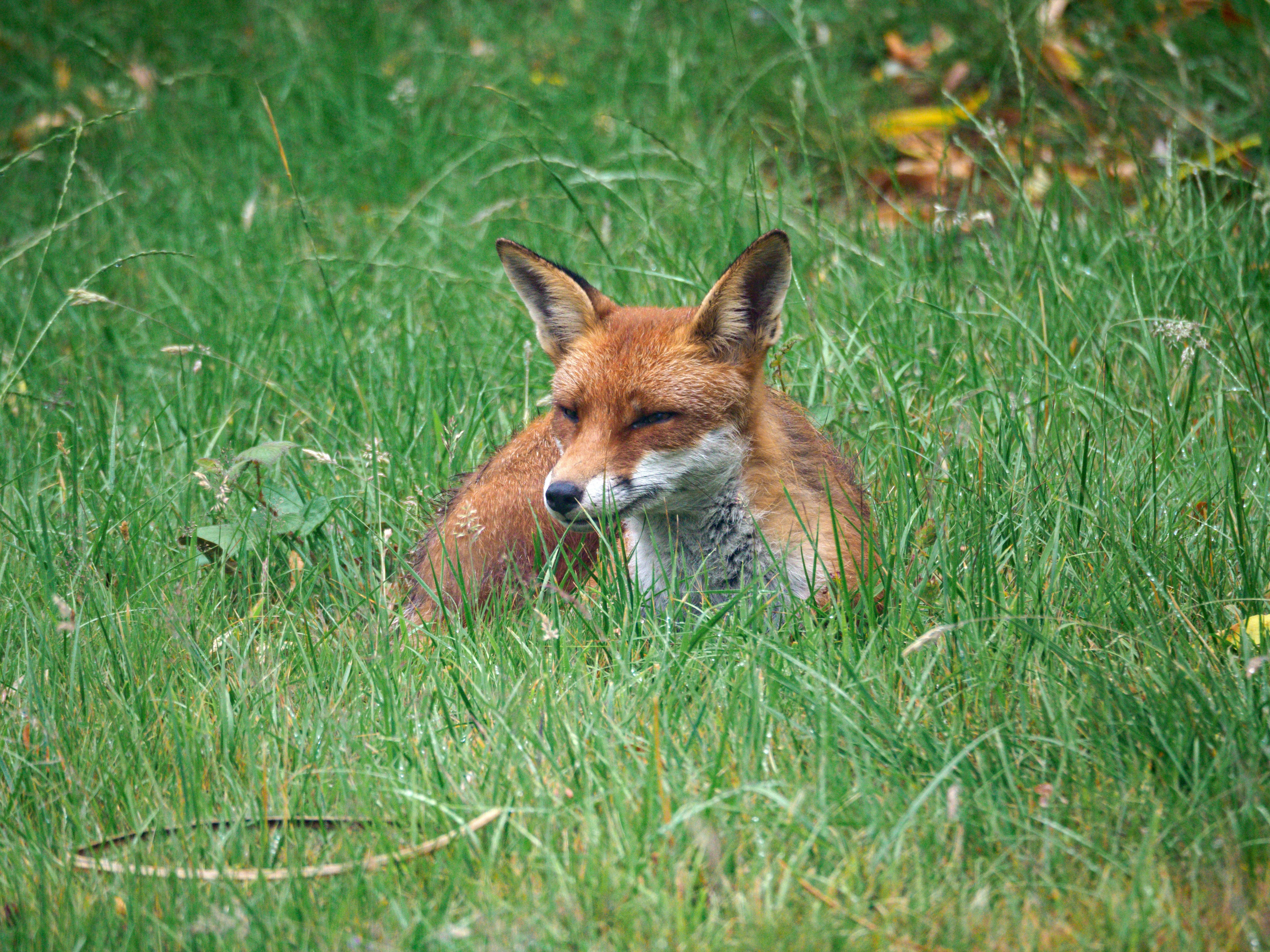 Photo by brett_jordan