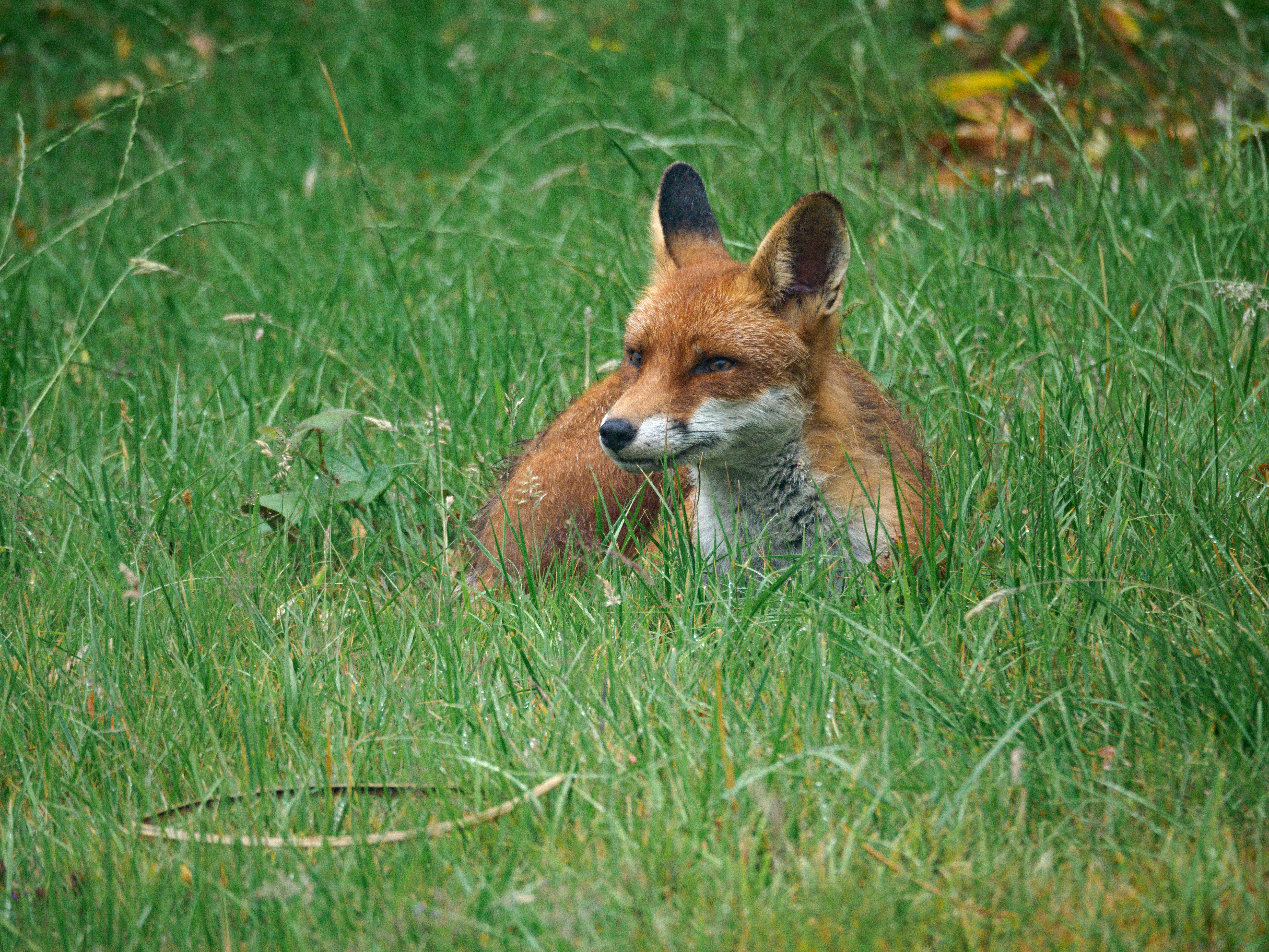 Photo by brett_jordan