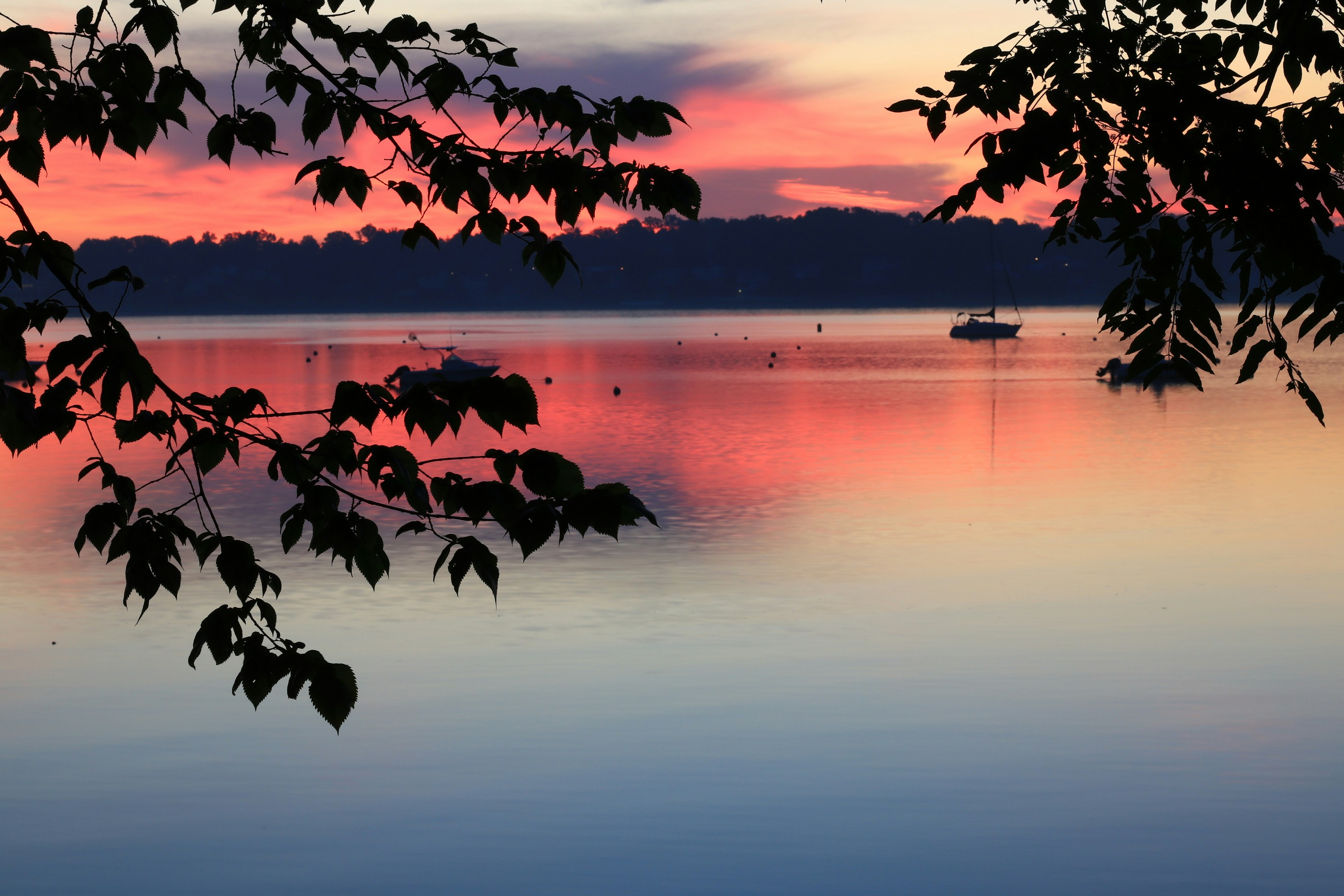 Photo by zeeman_photos63