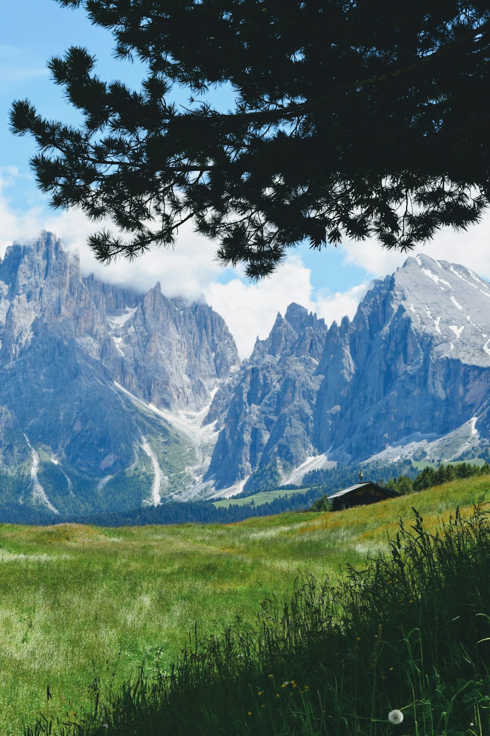 Grünes Grasfeld in der Nähe des schneebedeckten Berges tagsüber