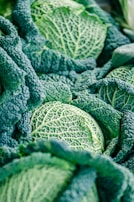 Close-up of vibrant green cabbage heads ready for fermentation.