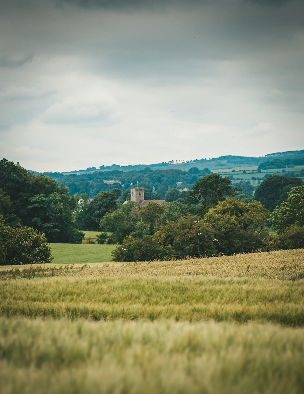 green grass field near green trees under white clouds during daytime