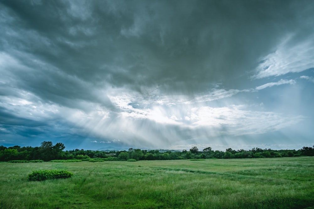 green grass field under gray clouds