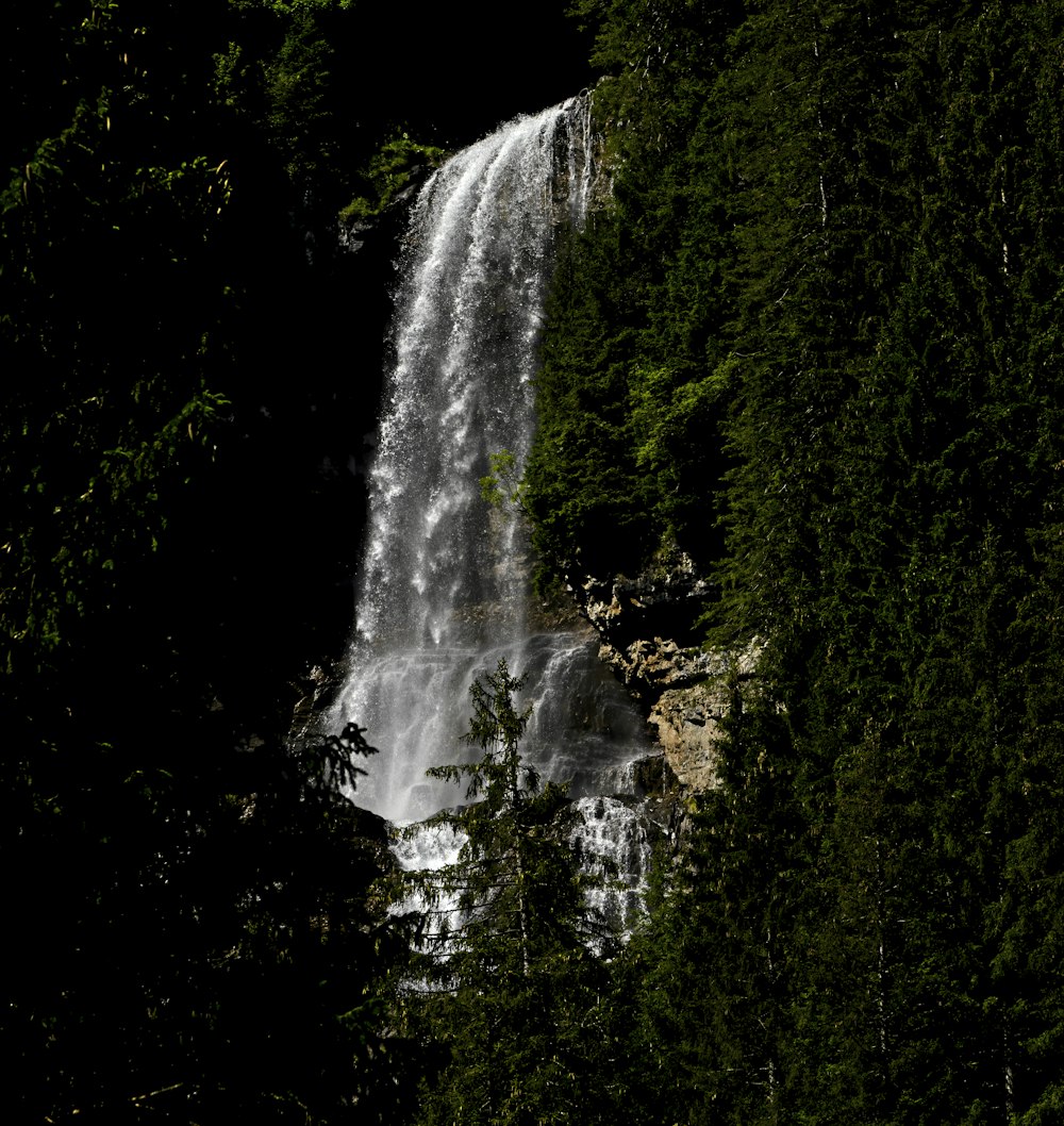 green trees near waterfalls during daytime