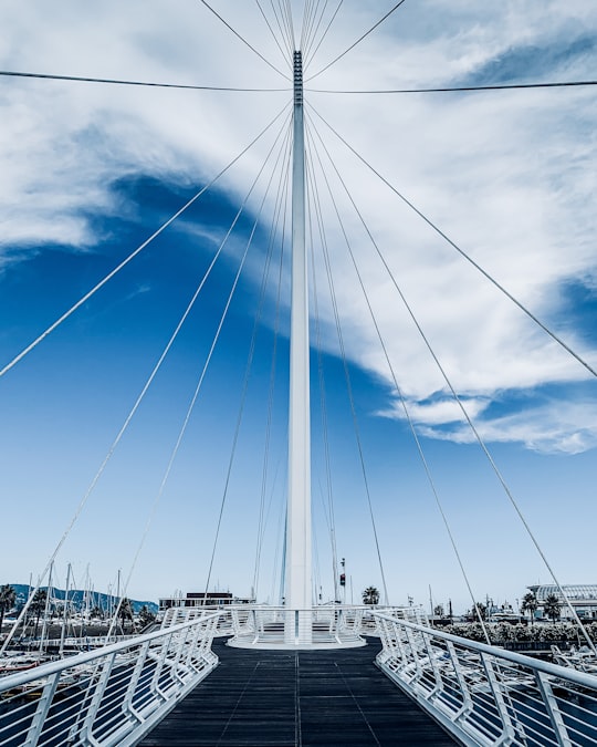 white ship on sea under blue sky during daytime in La Spezia Italy