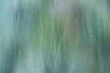 green and white abstract painting