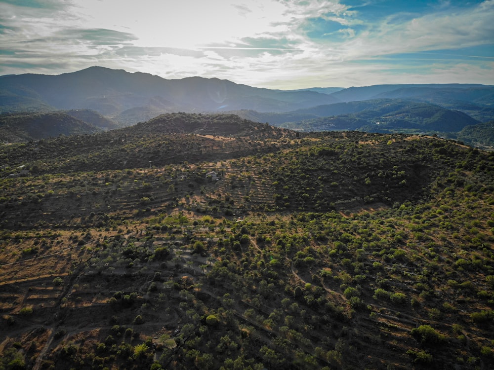 green trees on mountain under white clouds and blue sky during daytime