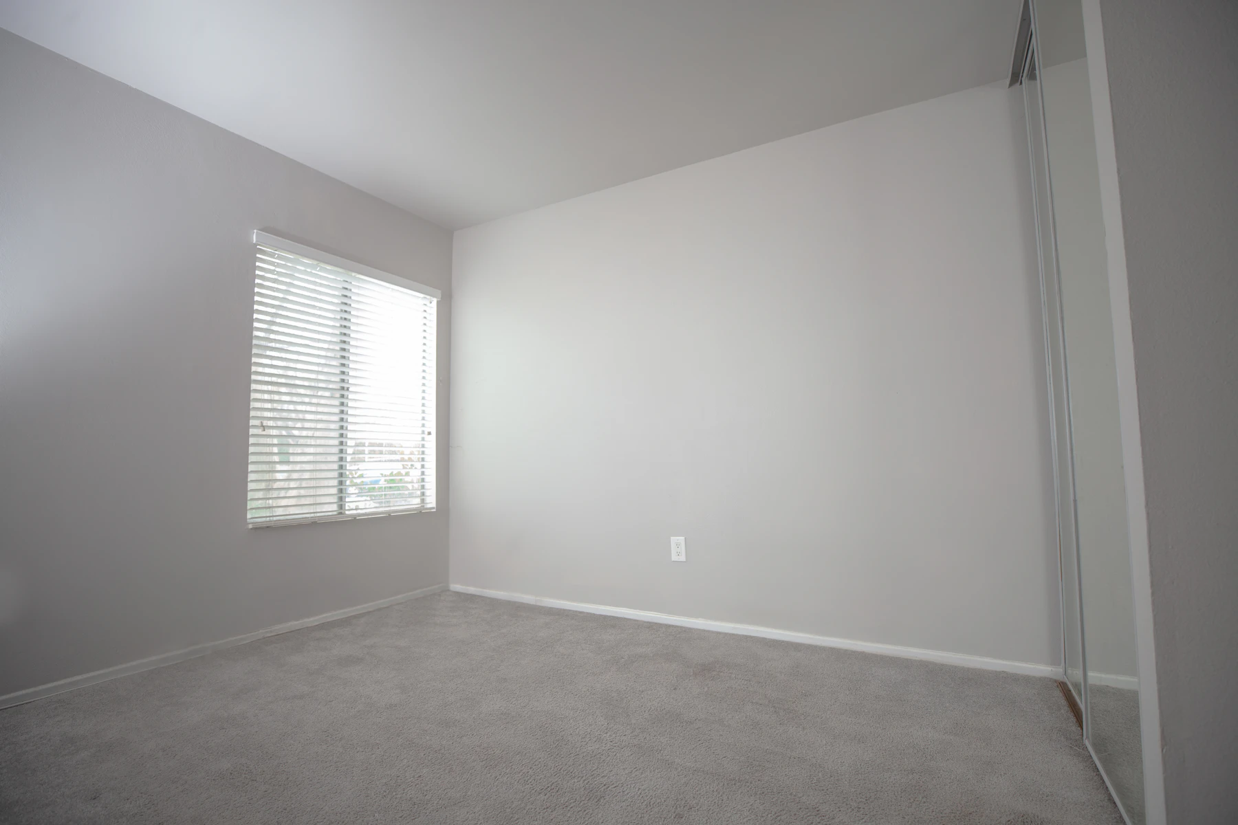 After: bright, clean empty carpeted room with natural light