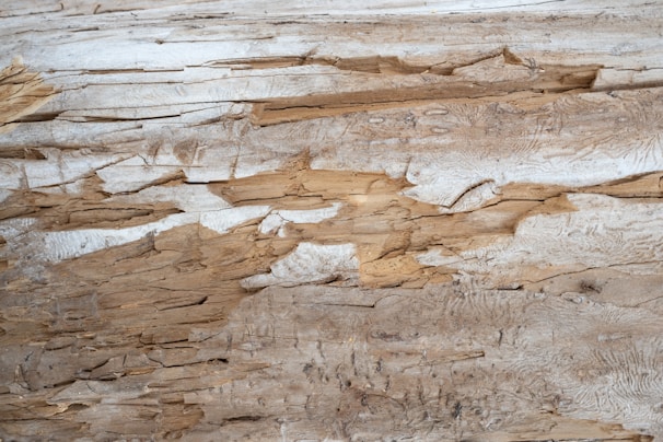 Close-up of the 3in1wrapper membrane showing the distinct brown anti-termite coating on the exterior surface.