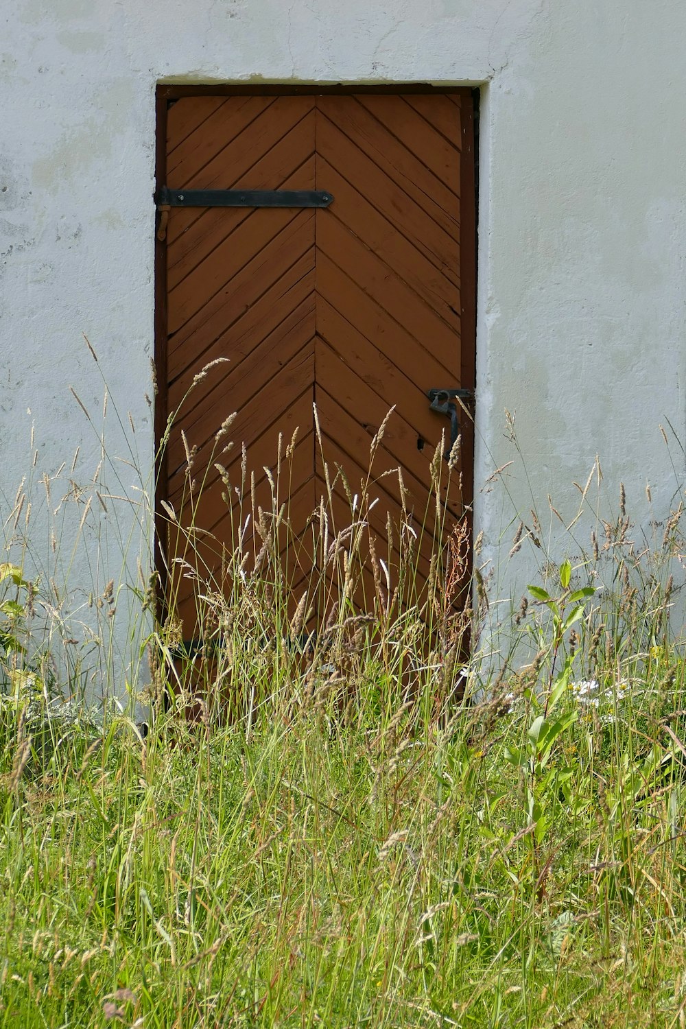 brown wooden door on white concrete wall
