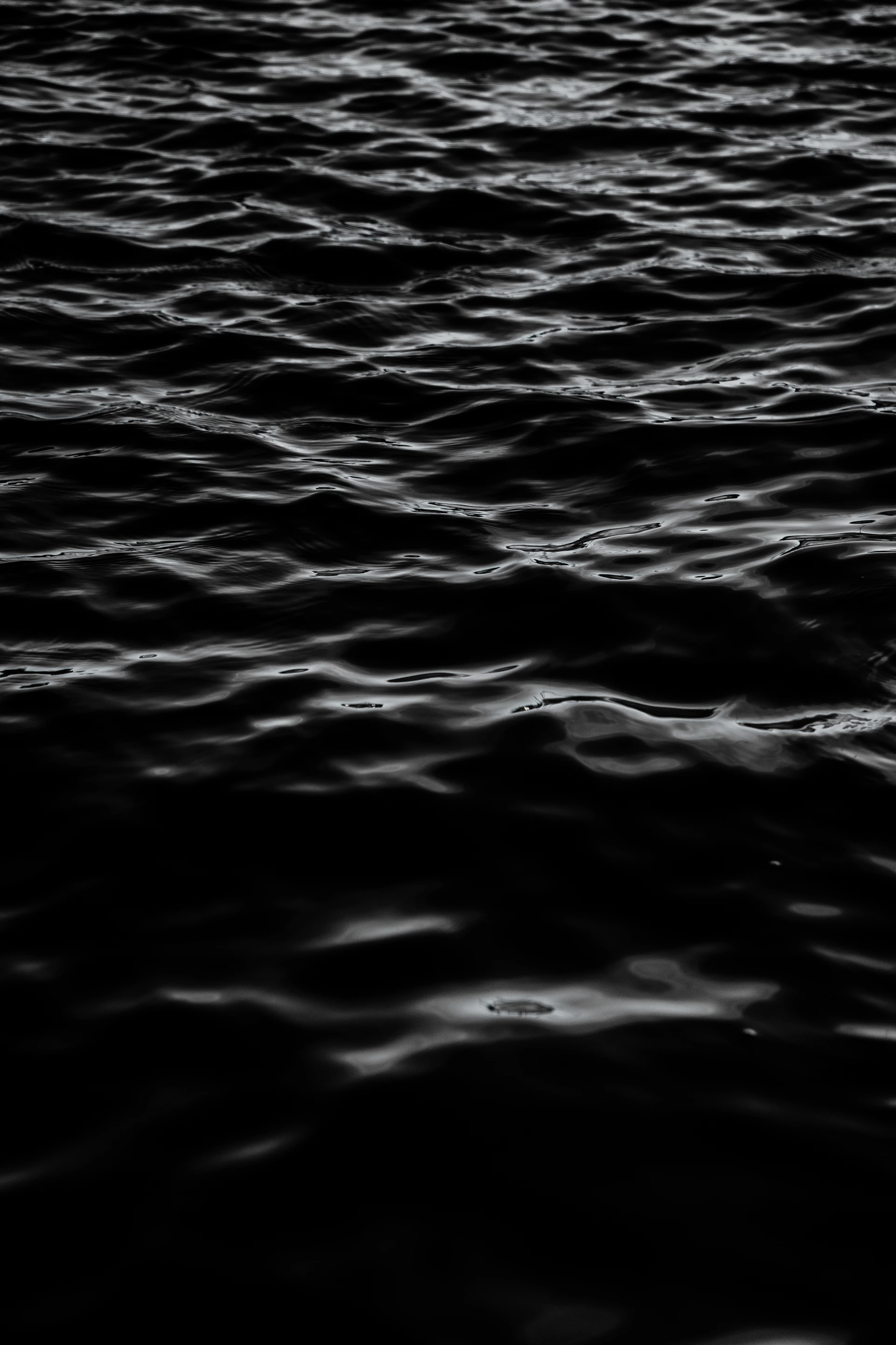 body of water during daytime