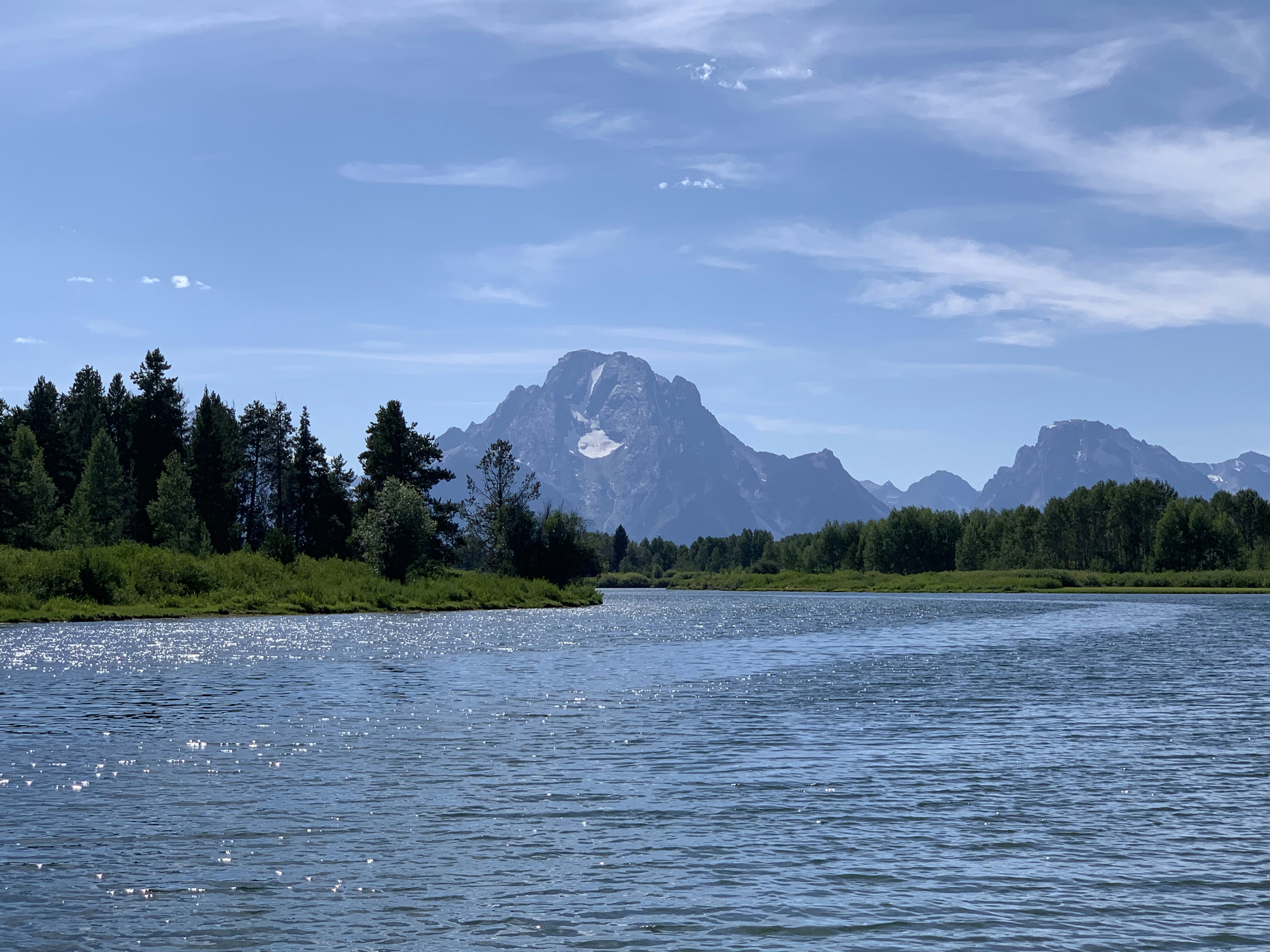 昼間の青空の下、水辺の緑の木々