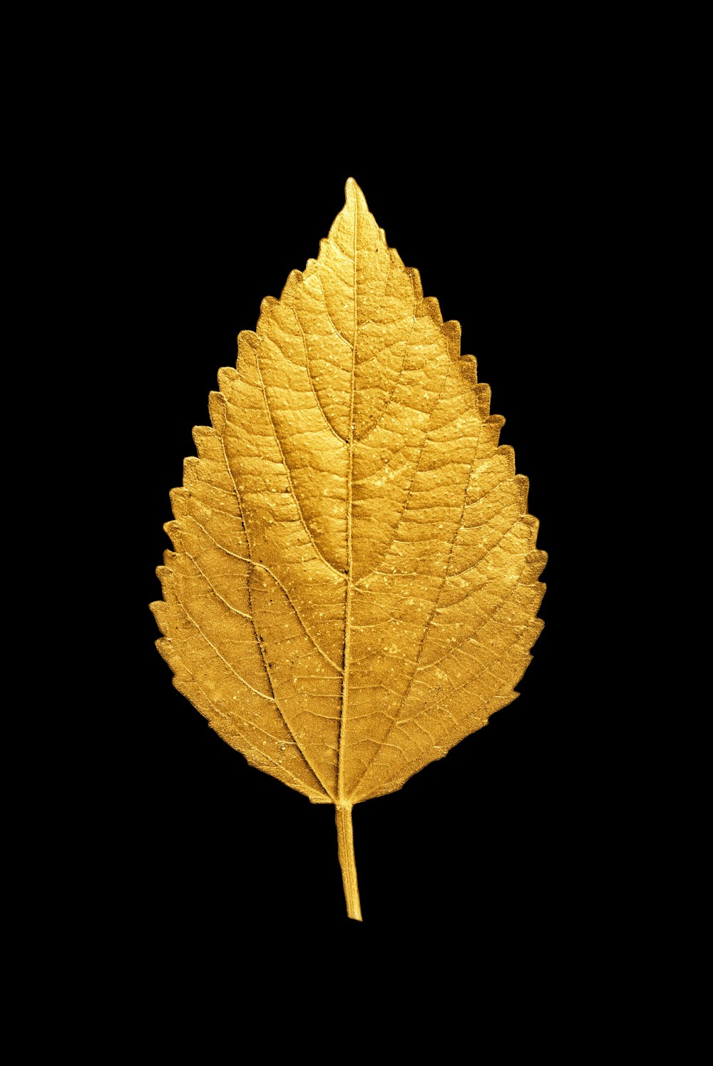 노란색과 갈색 잎 그림